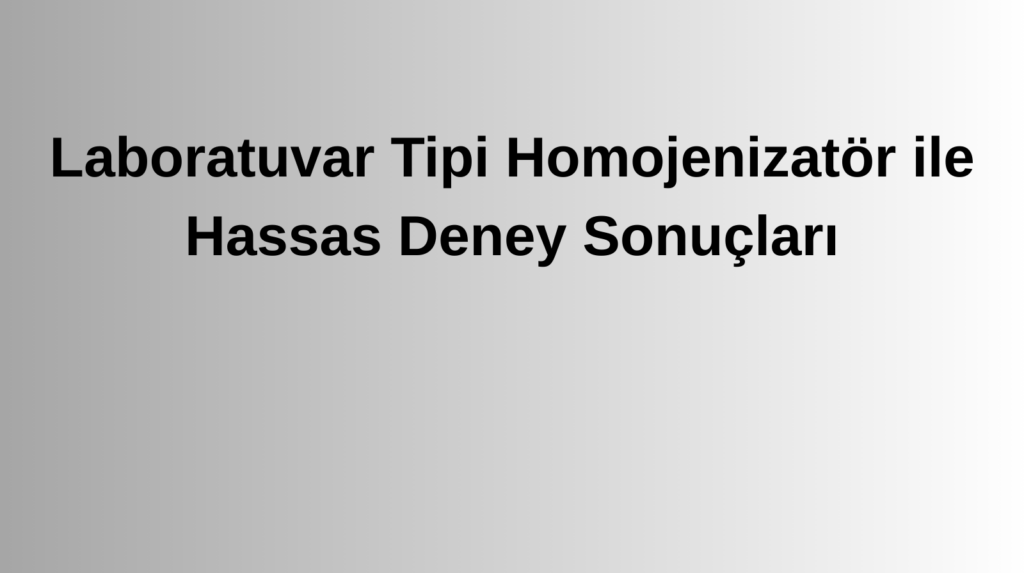 Laboratuvar Tipi Homojenizatör