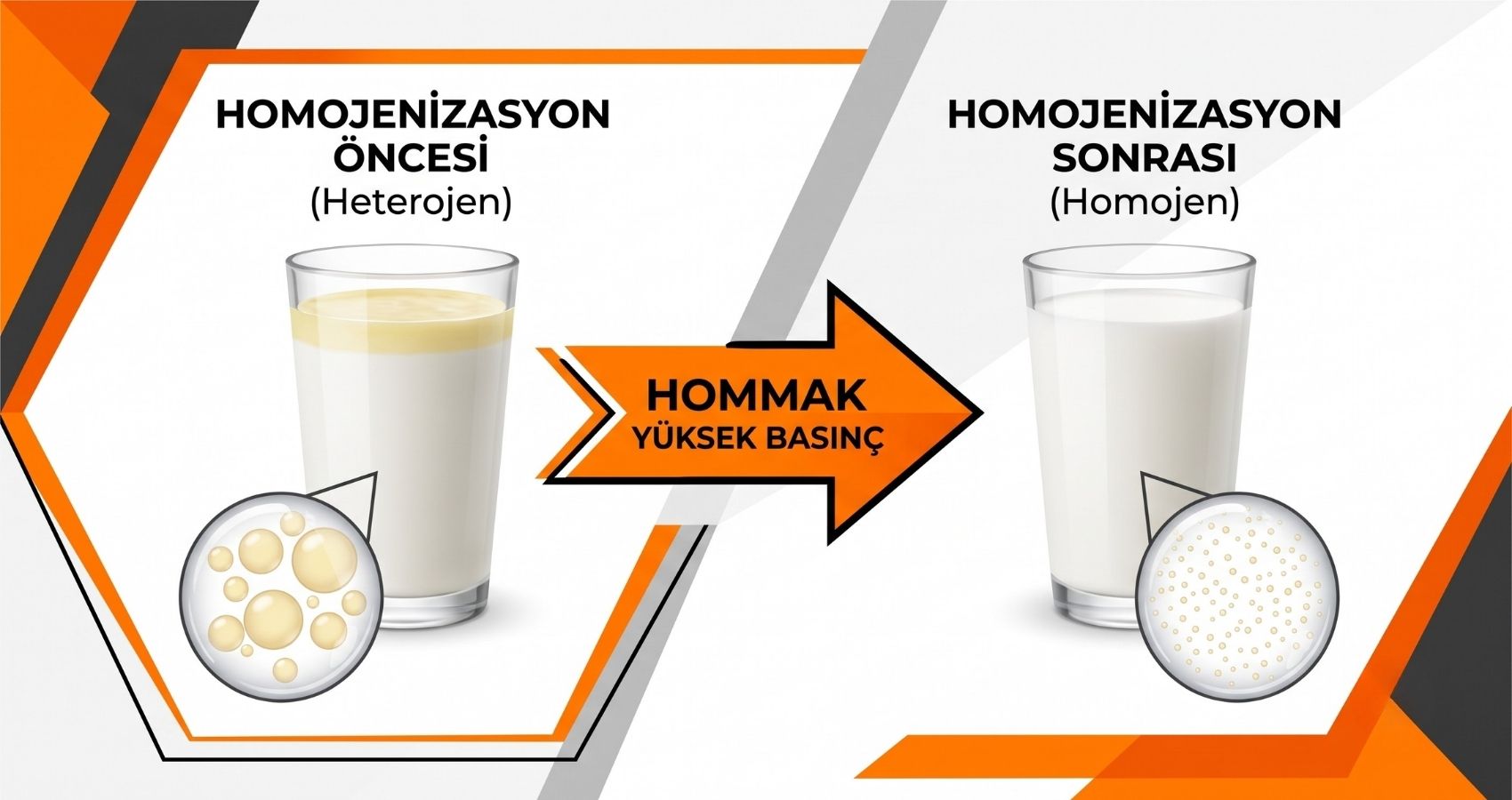 homojenizasyon öncesi ve sonrası